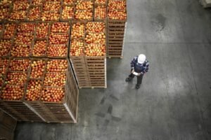 Importar / Exportar - Mares del Sur, Hub Aduanal