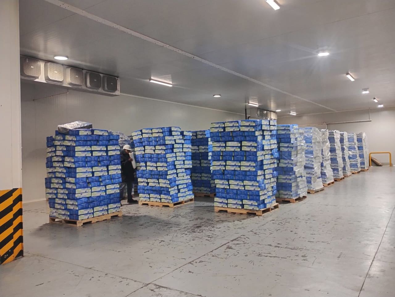 Emplaye de mercancía refrigerada